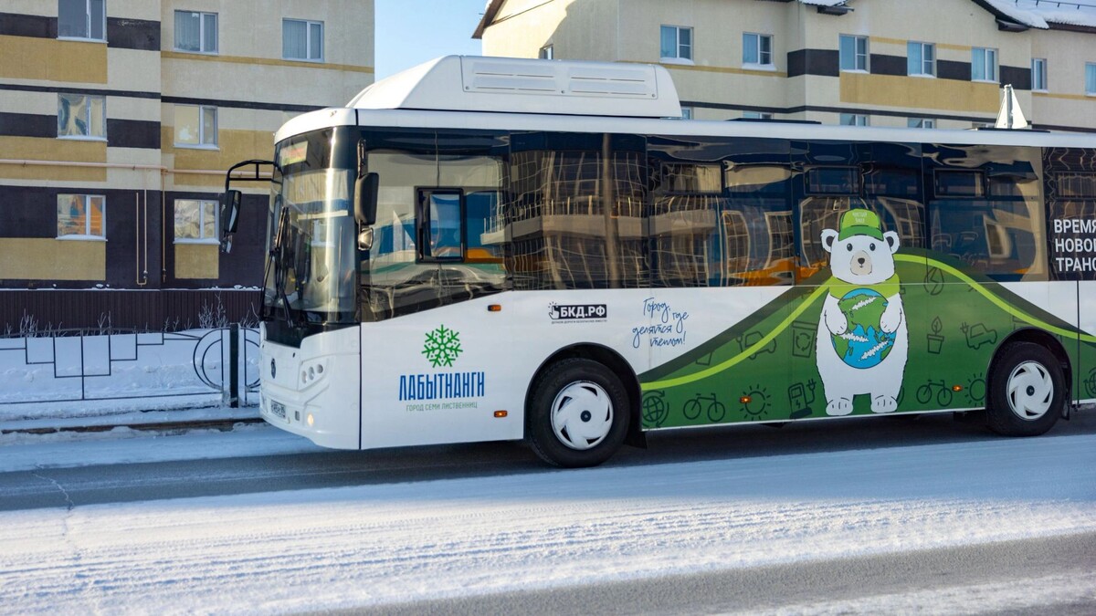    Фото: Федор Воронов/«Ямал-Медиа»