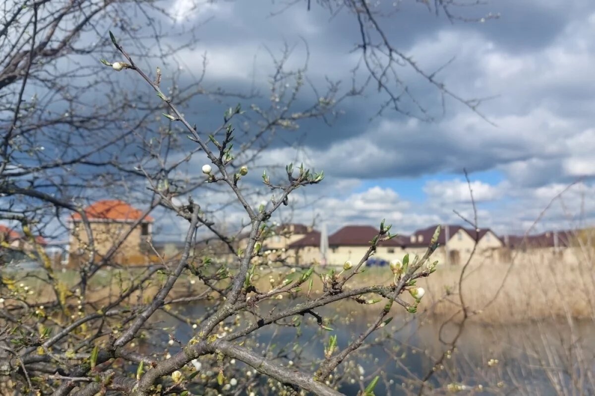    Температура воздуха 22 марта на Кубани прогреется до +17 градусов