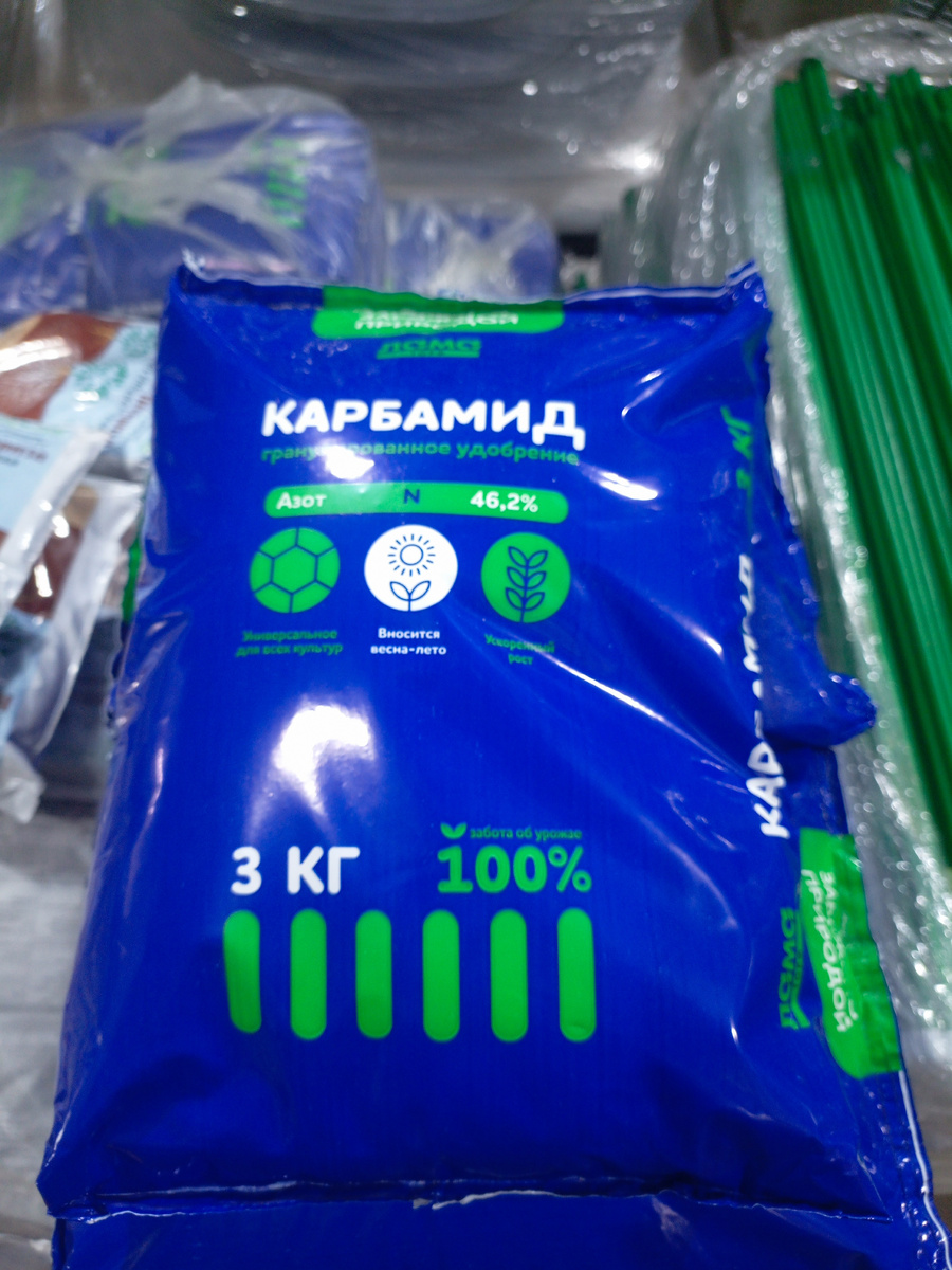 Фото сделано автором канала