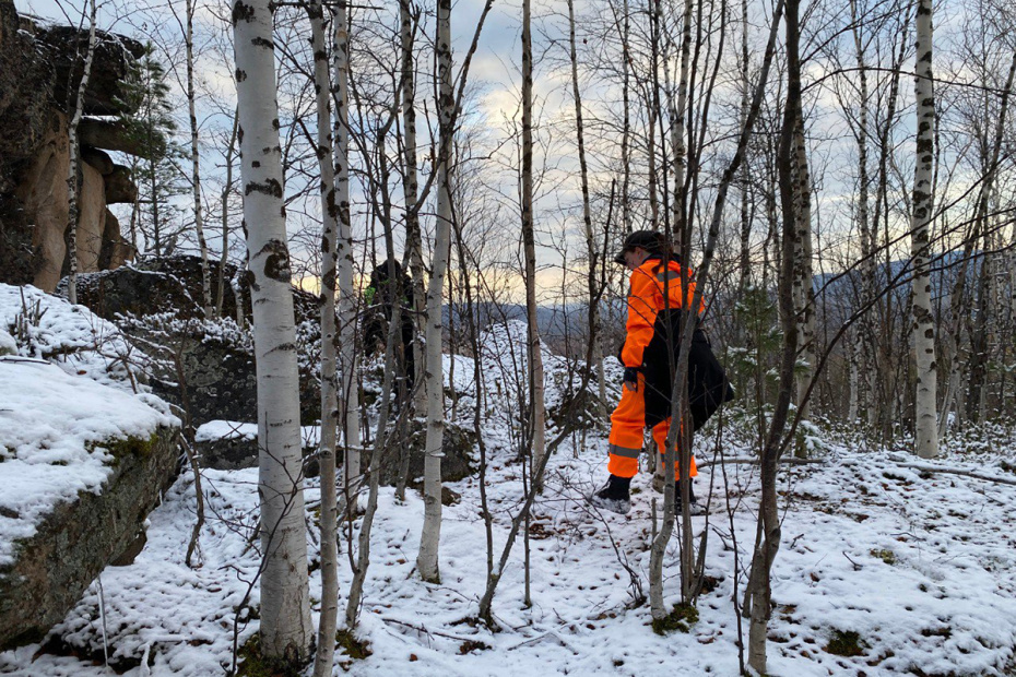    «ЛизаАлерт» по Красноярскому краю