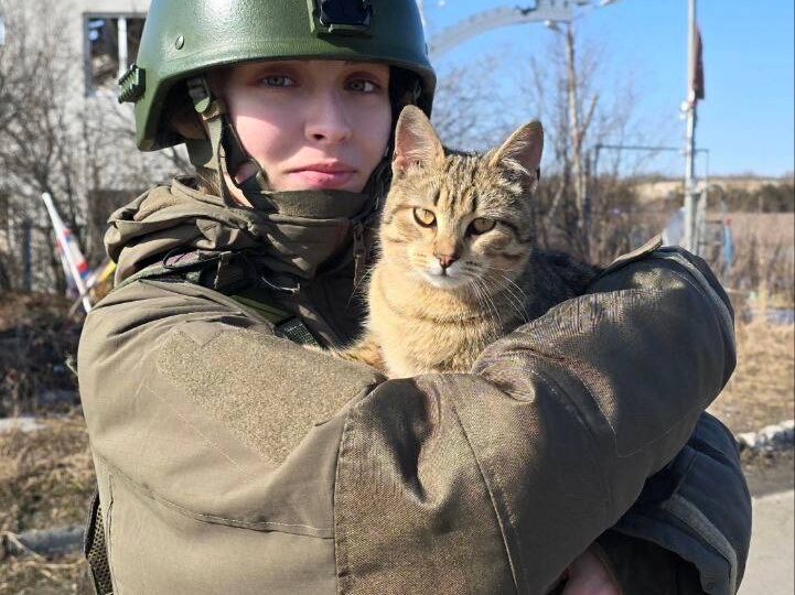 Доброе и пушистое суджанское утро