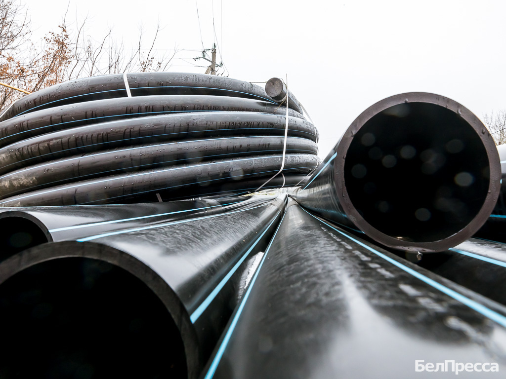     Фото: Павел Колядин (архив)