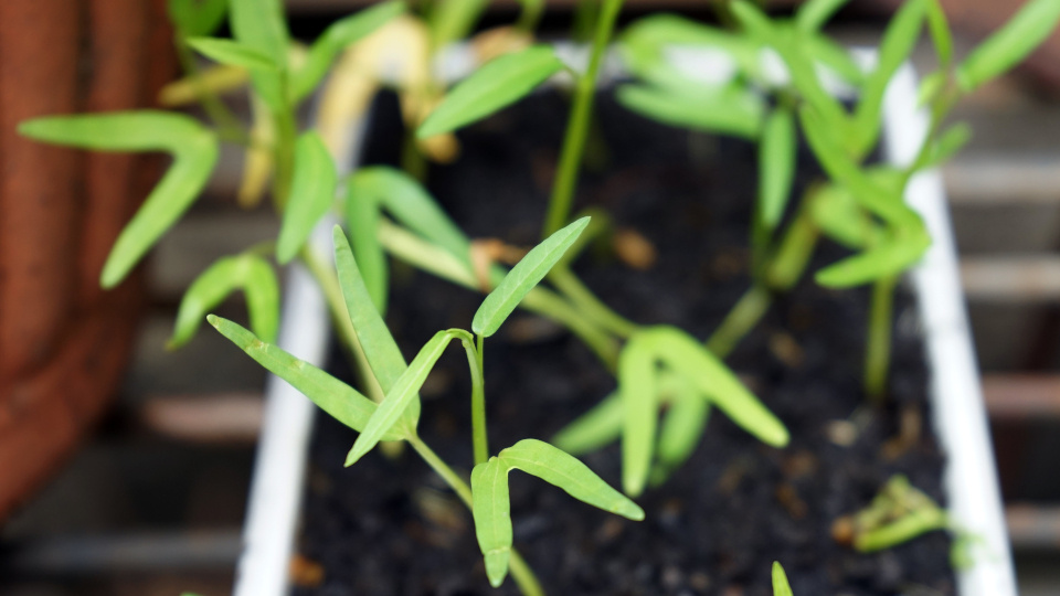 Фото: shutterstock.com