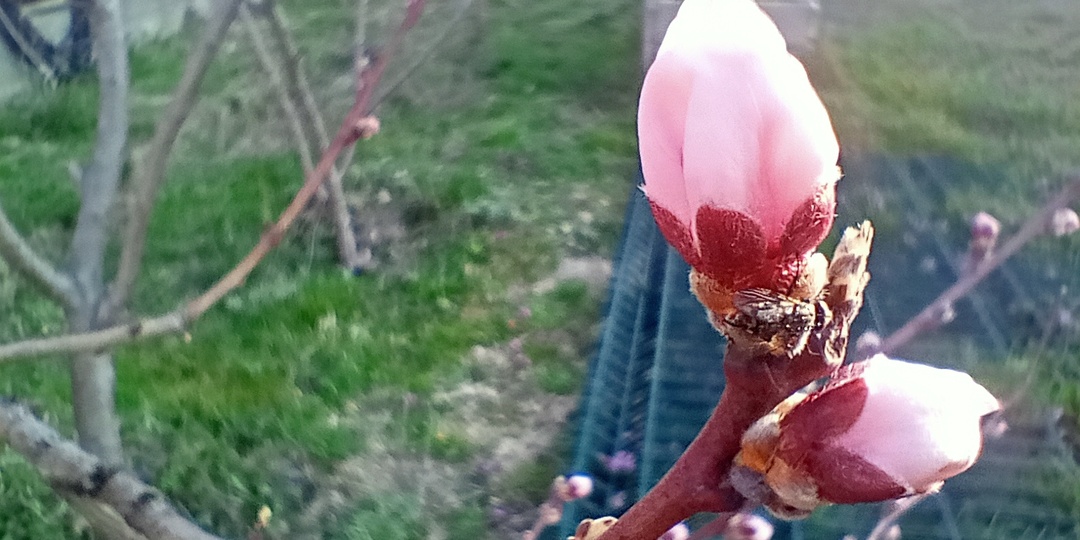 Сукко. Конец марта. Чудная пора