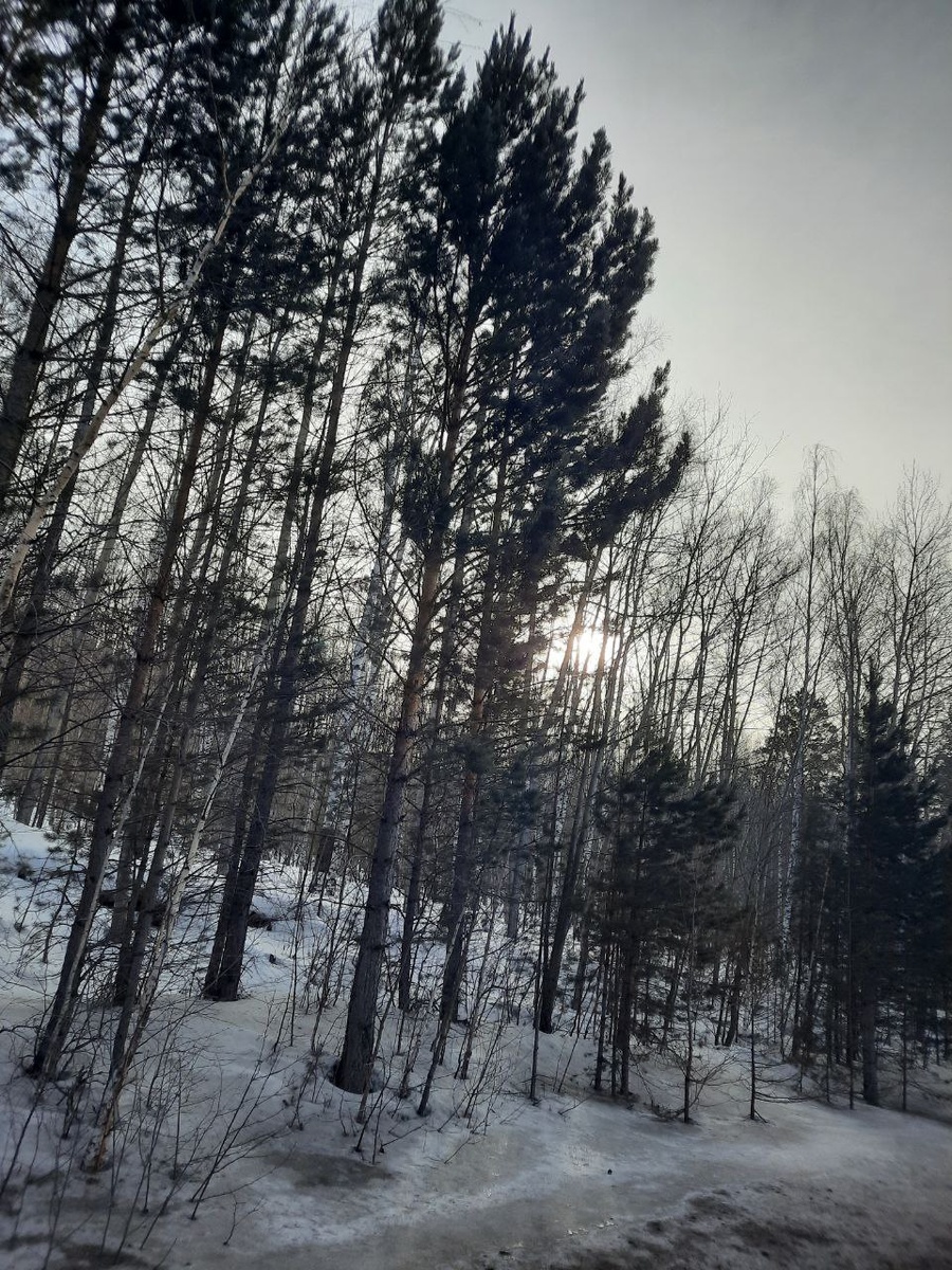 Фото автора.