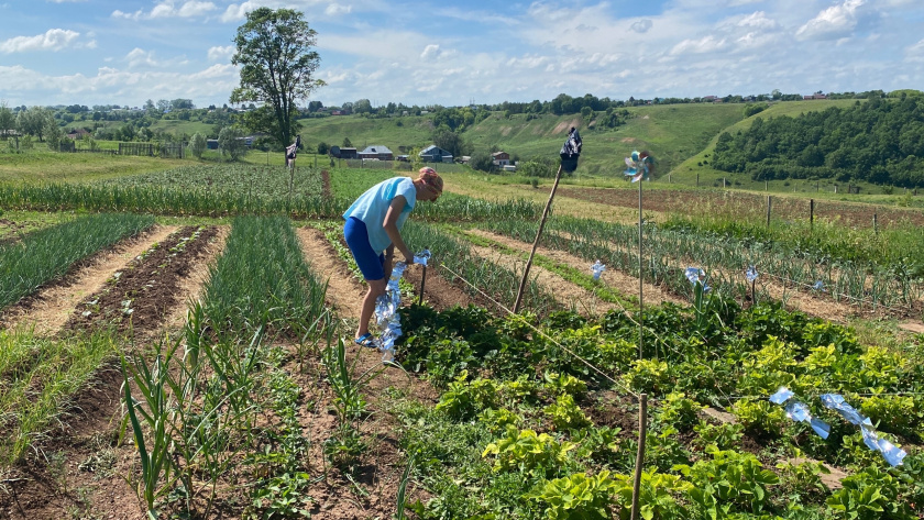    Фото: ПроГород