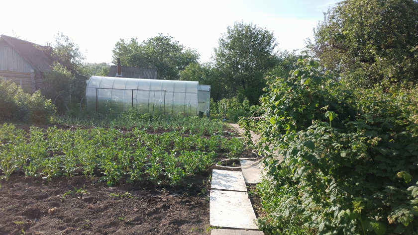    Фото из архива редакции