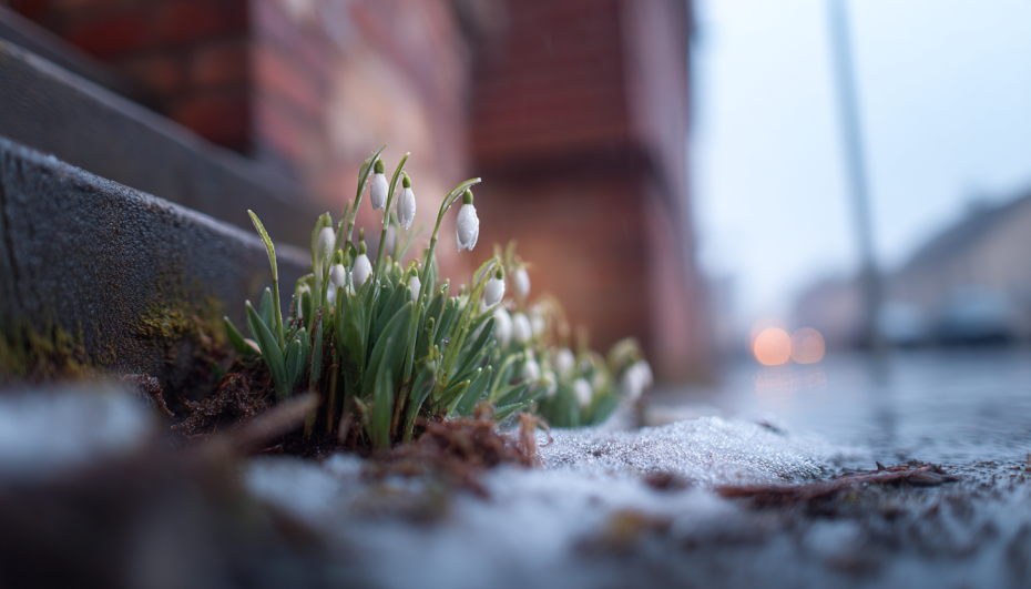    Создано ИИ/NEWS.ru