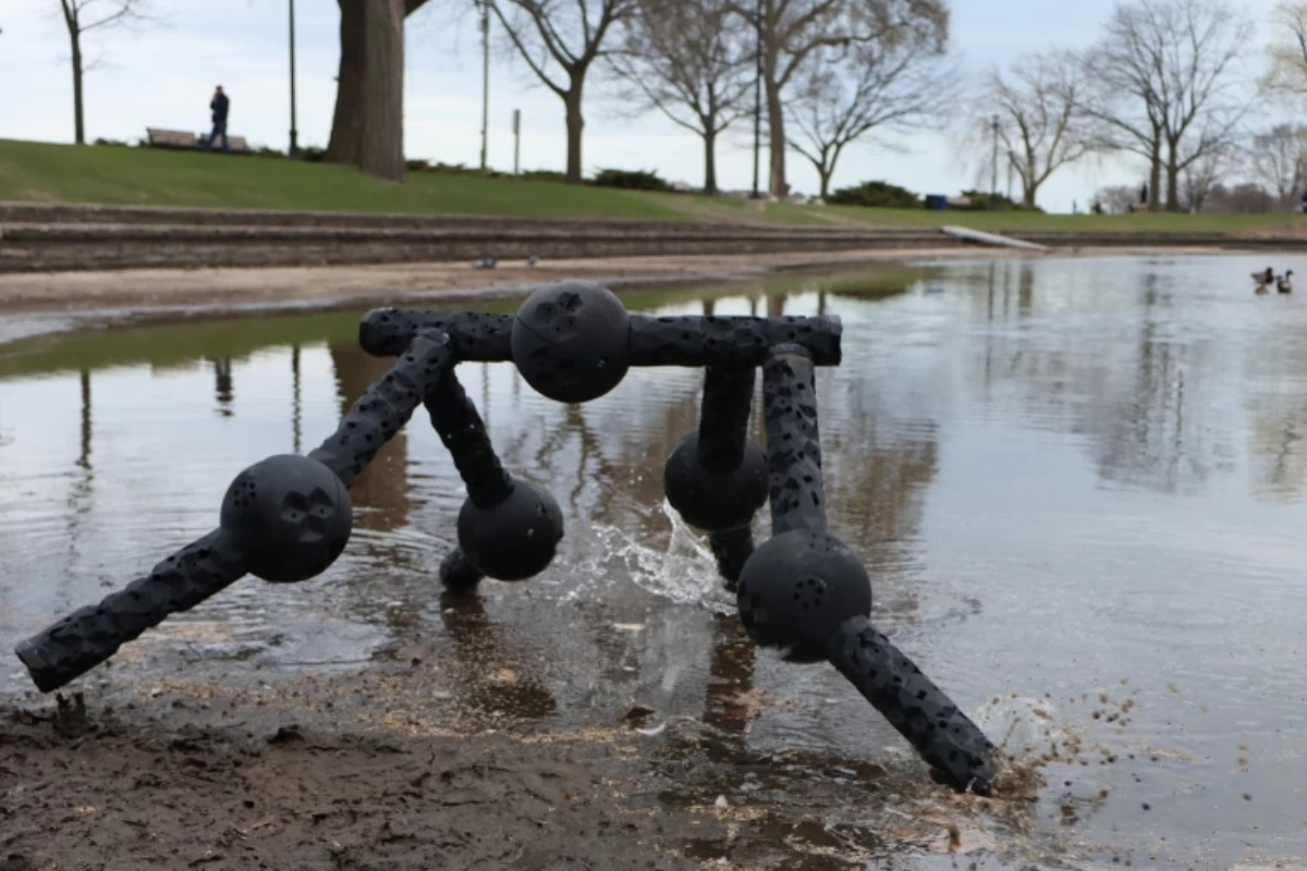    Фото: Northwestern University