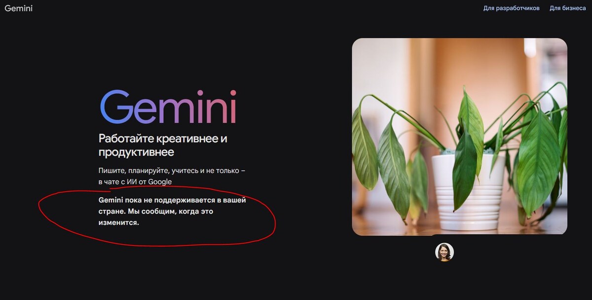    Без VPN Gemini просто не получится открыть