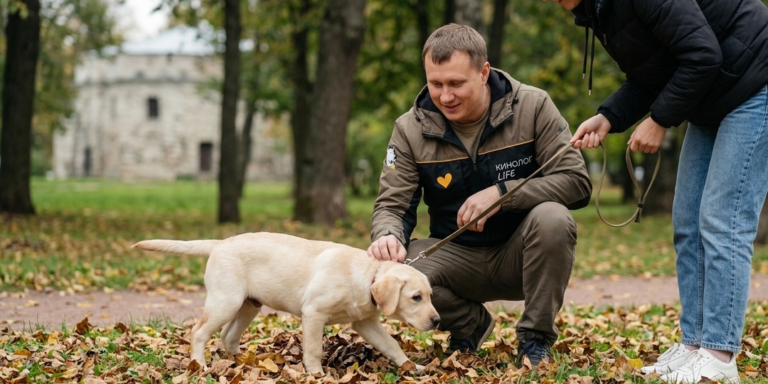 Серебряный век и «Бродячая собака»: новгородцы окунулись в историю
