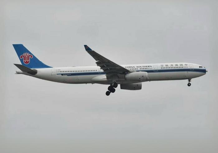 Самолёт получил повреждения после столкновения с птицами. Фото © Х / Breaking Aviation News & Videos