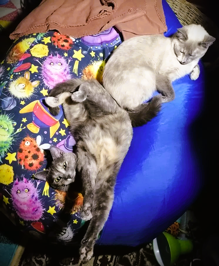 фото автора 