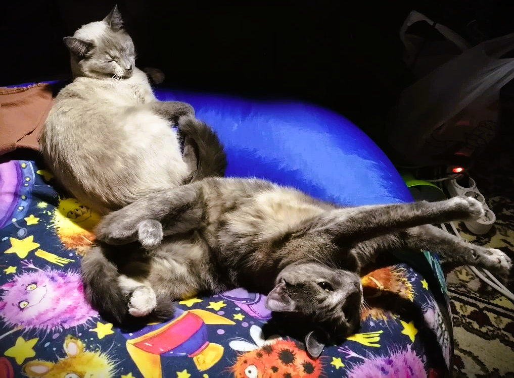 фото автора 