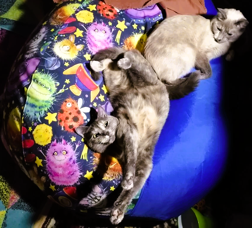 фото автора 