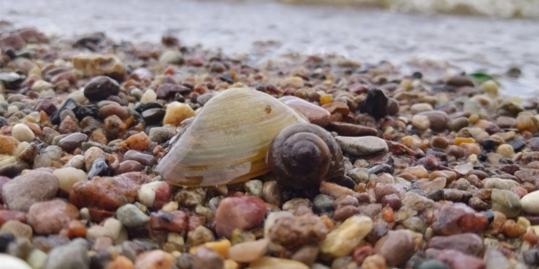 Море как маркер благополучия семьи