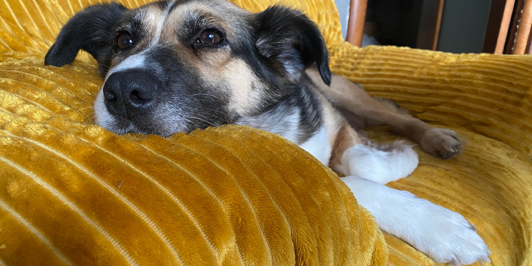 Москва. Она ищет не просто дом 🏡. Она ищет тишину, уют и взгляд, полный понимания 💖