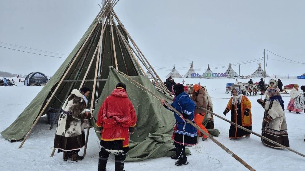    Фото: Владимир Ганчерко / «Север-Пресс»