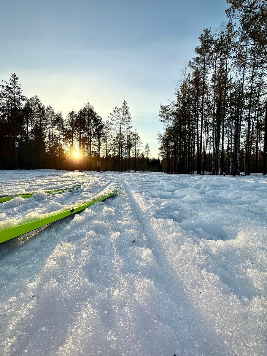   Трасса Фонтаны Петрозаводск