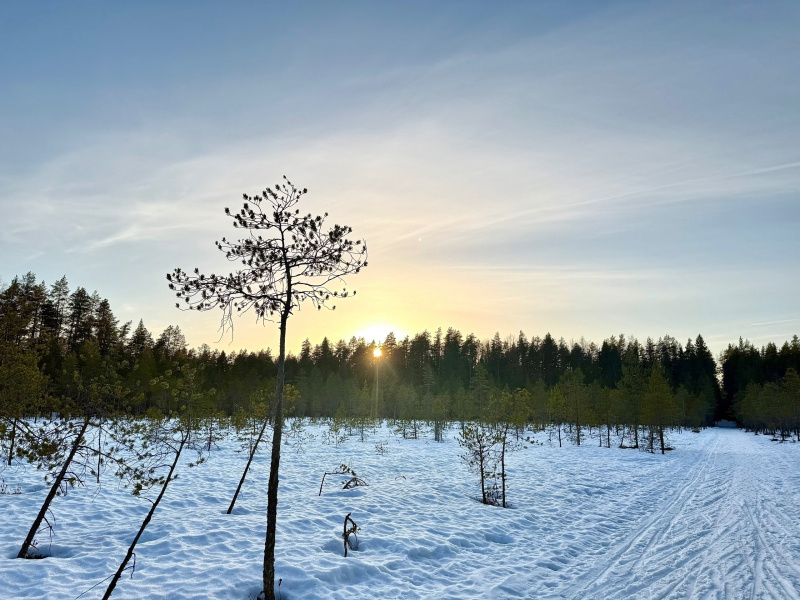    Весенняя лыжная трасса «Фонтаны» в Петрозаводске еще работаетТрасса Фонтаны Петрозаводск