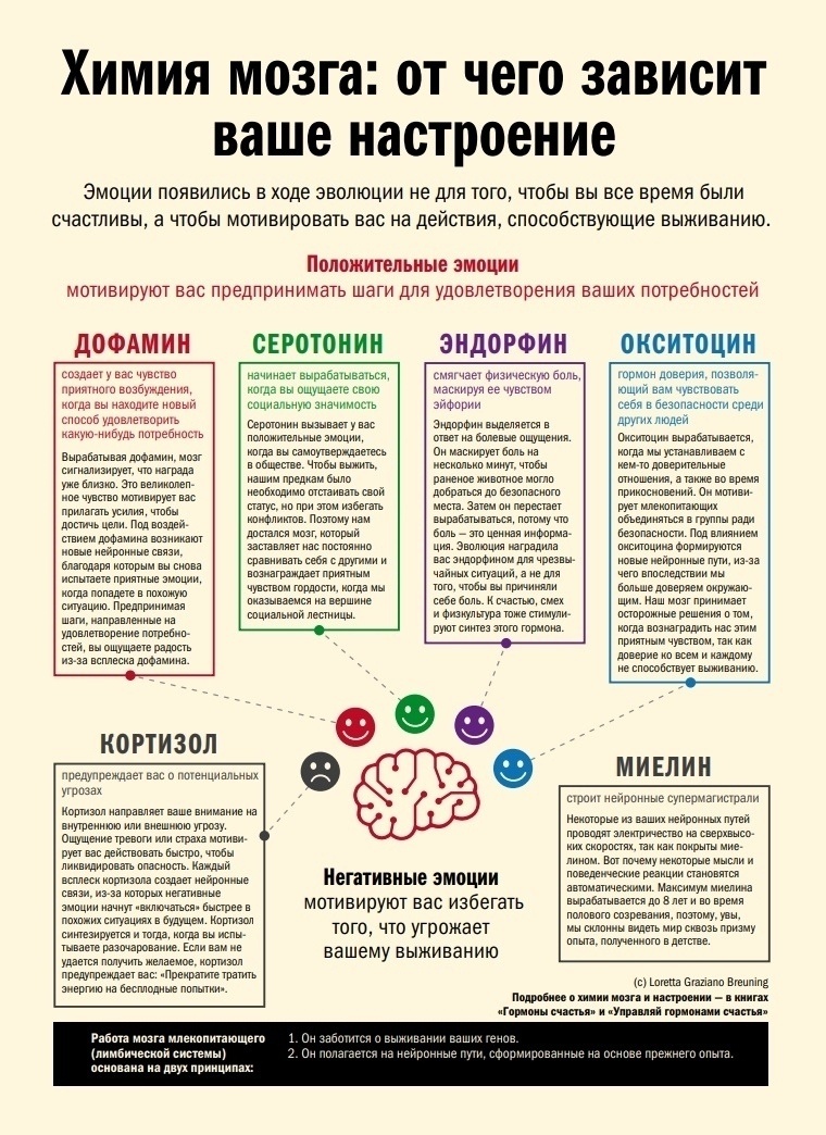 Химия мозга: от чего зависит ваше настроение

Эмоции появились в ходе эволюции не для того, чтобы вы все время были счастливы, а чтобы мотивировать вас на действия, способствующие выживанию.

Положительные эмоции мотивируют вас предпринимать шаги для удовлетворения ваших потребностей.