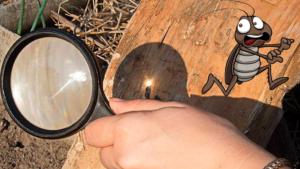 Фото с просторов интернета