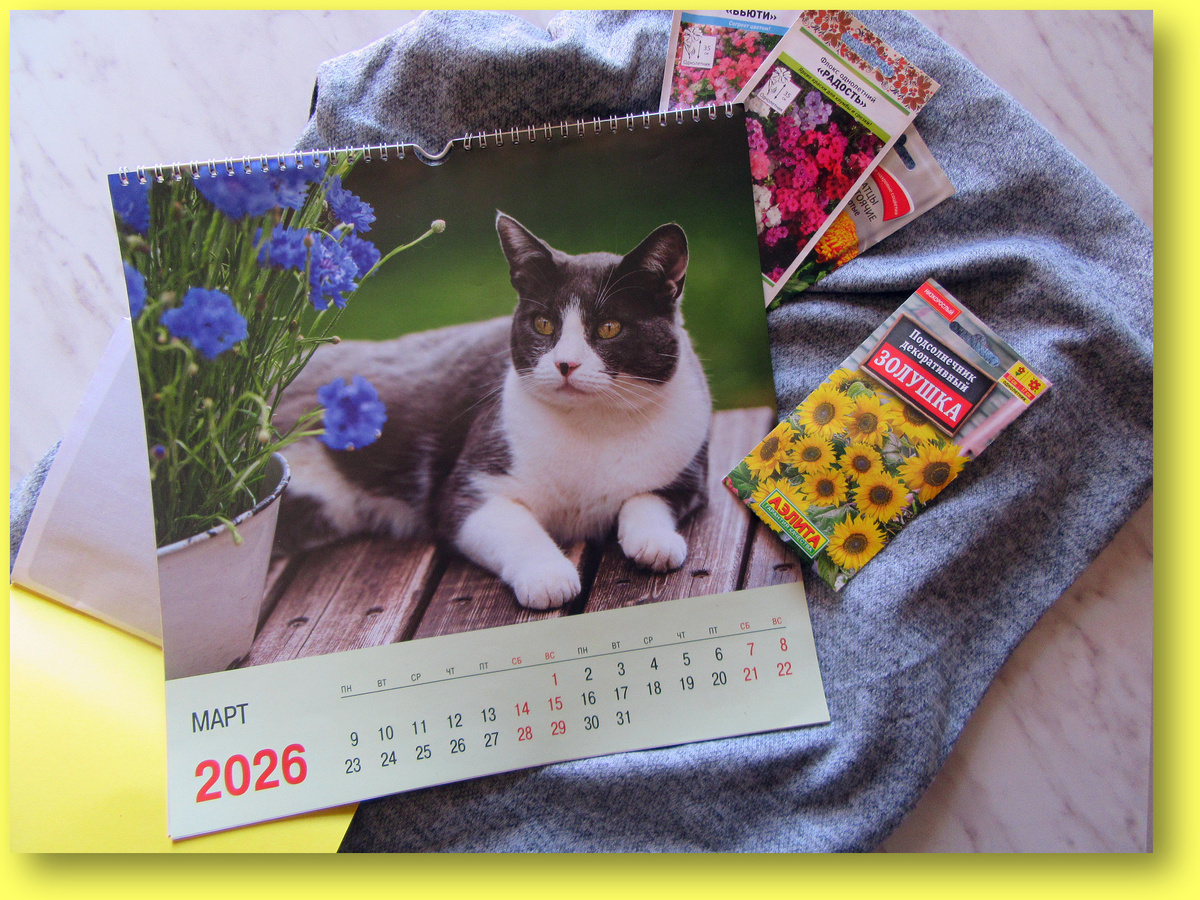 Наконец и мартовская страничка календаря пригодилась))