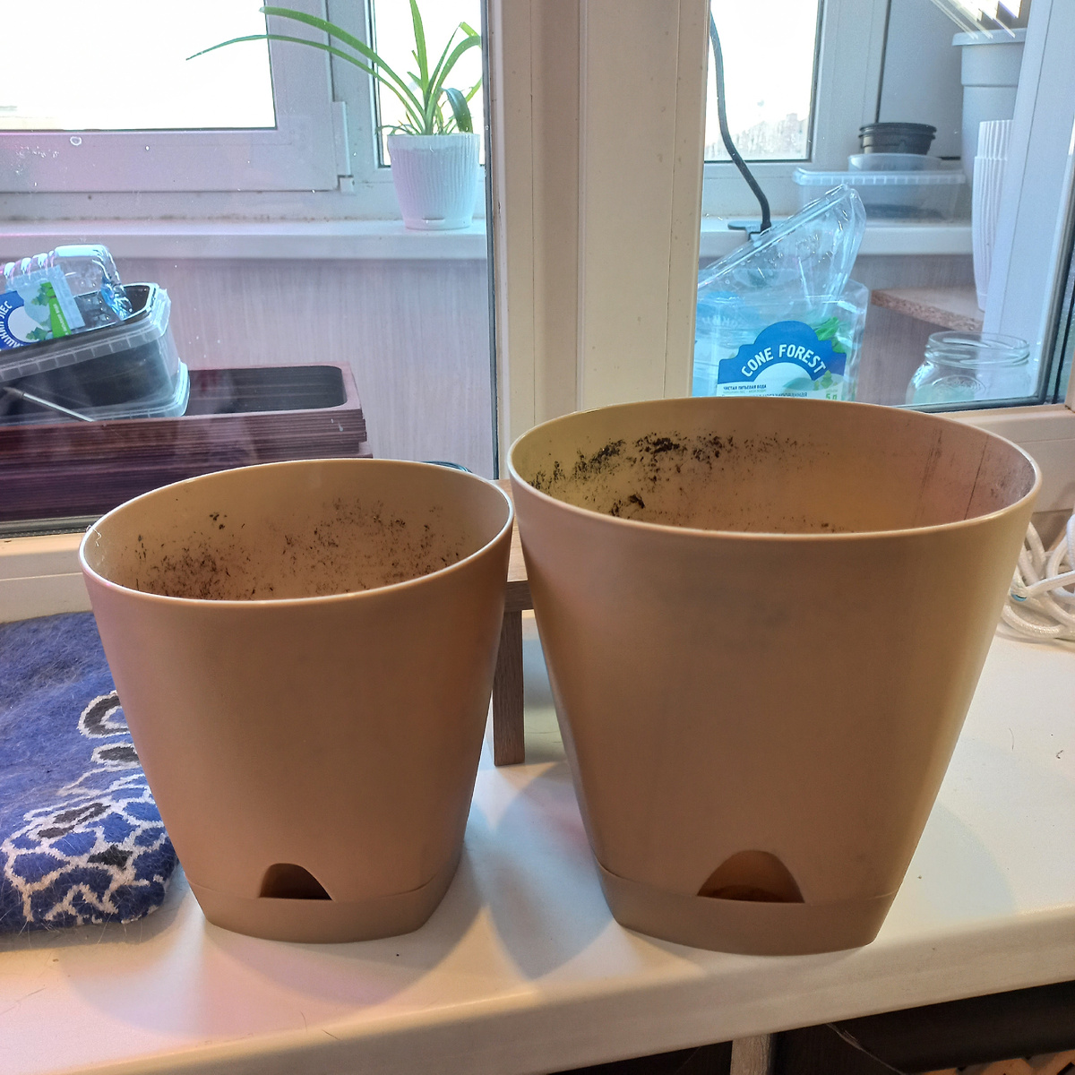 Коричневые кашпо на 2 и 4 литра. Фото автора.