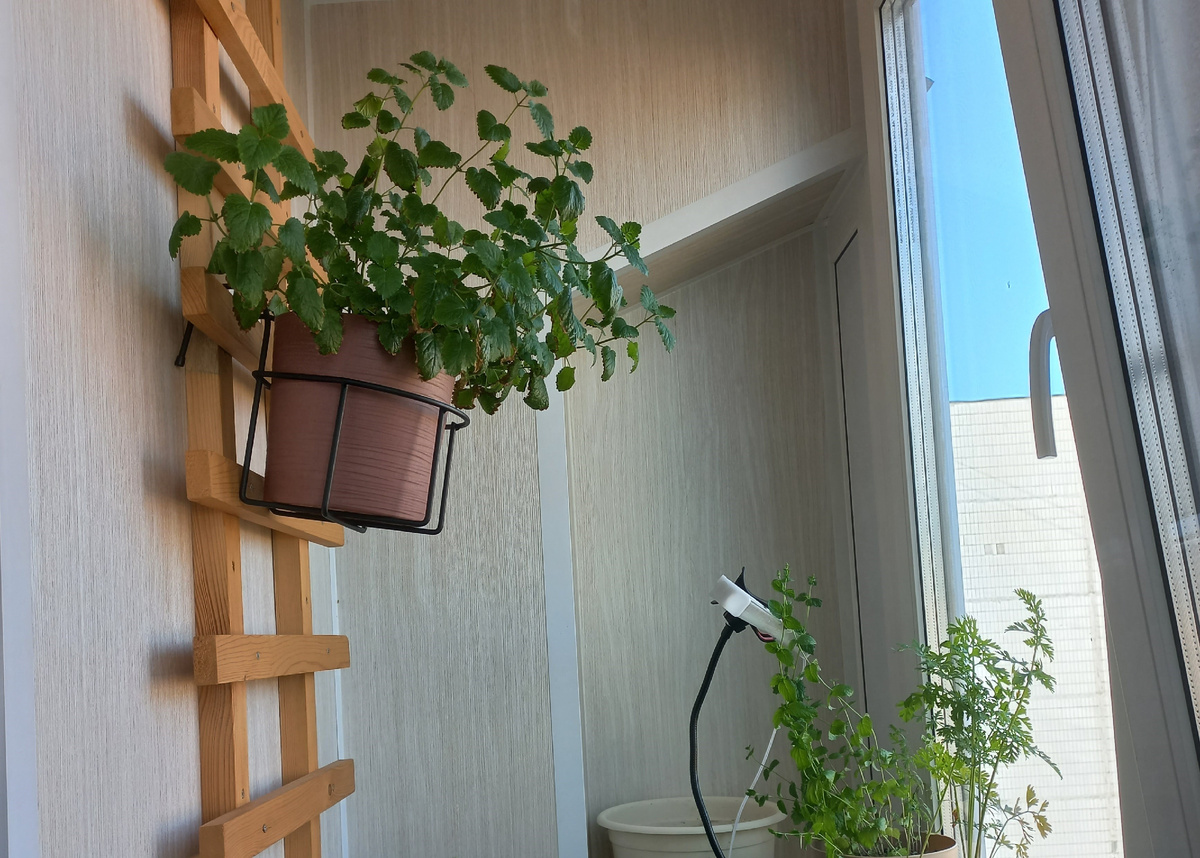 Цилиндрическое кашпо. Фото автора