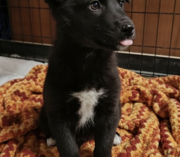 Секрет четвертого мушкетера раскрыт. Милая Кэтти в ожидании чуда