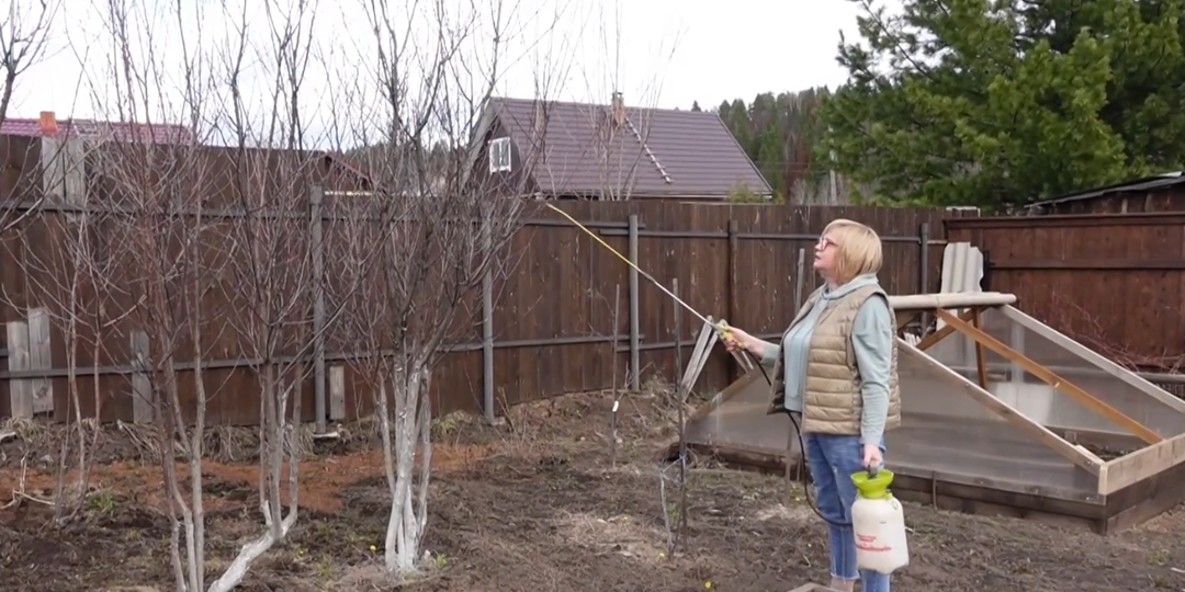 Первая обработка сада весной!