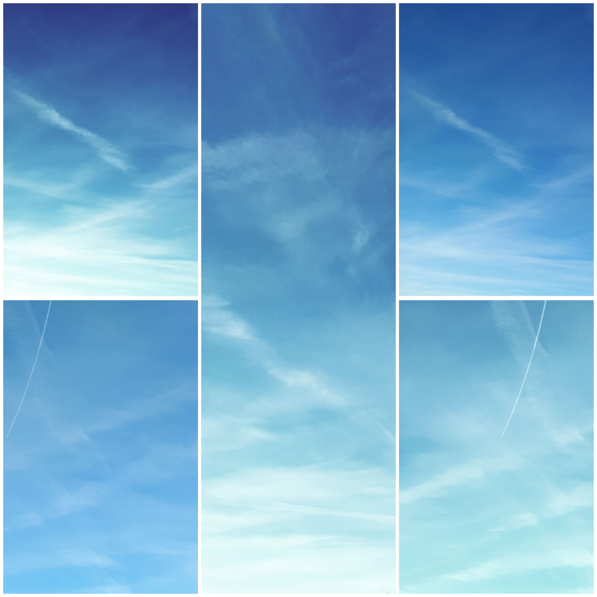 Коллаж автора 22.03.2026г.