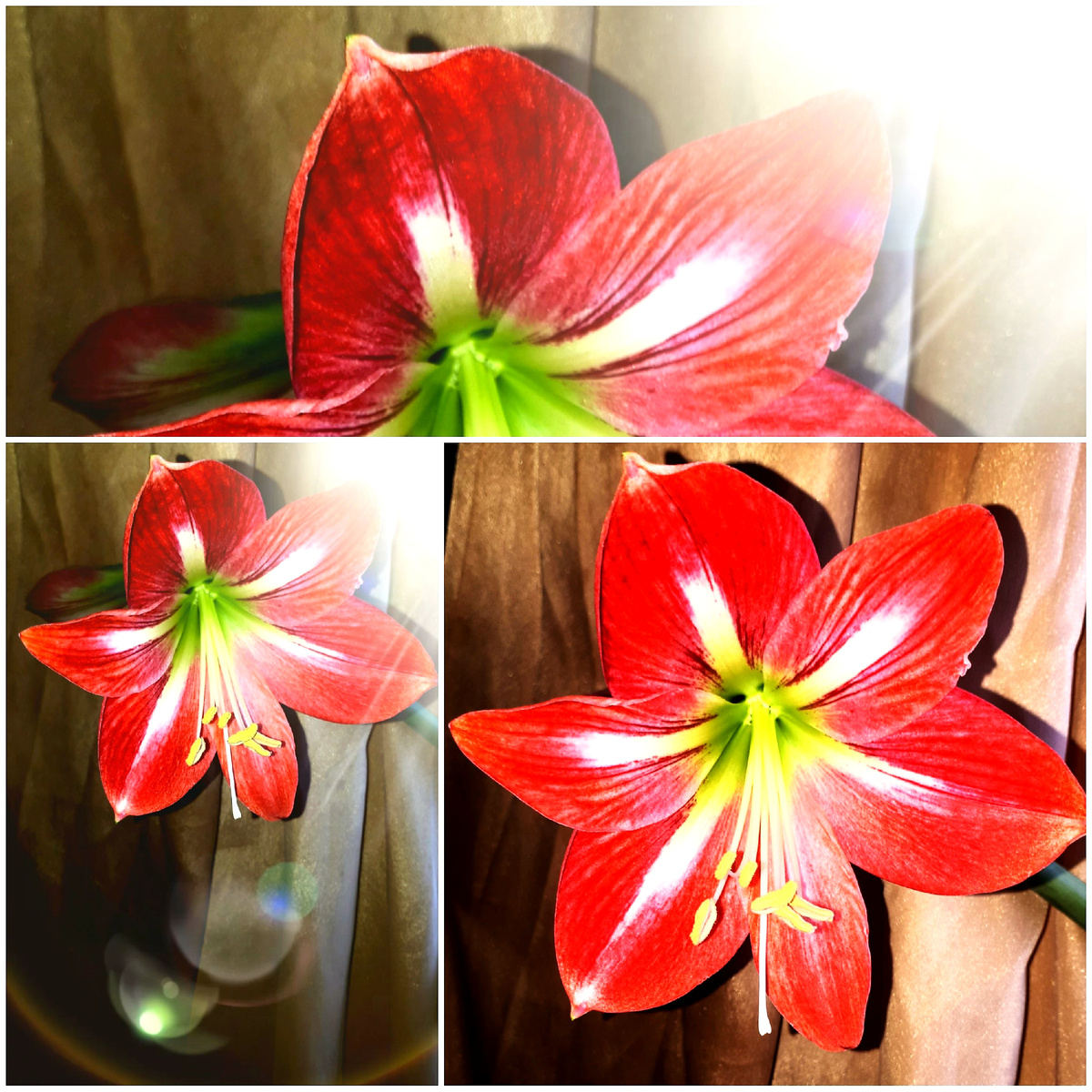 Коллаж автора 22.03.2026г.