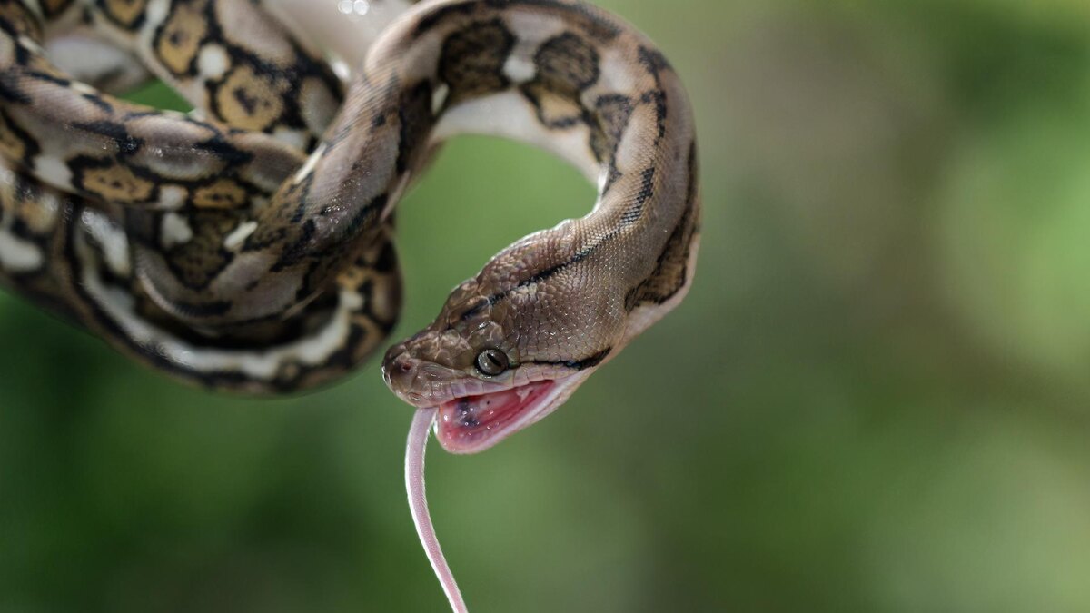 Фото: freepik.com