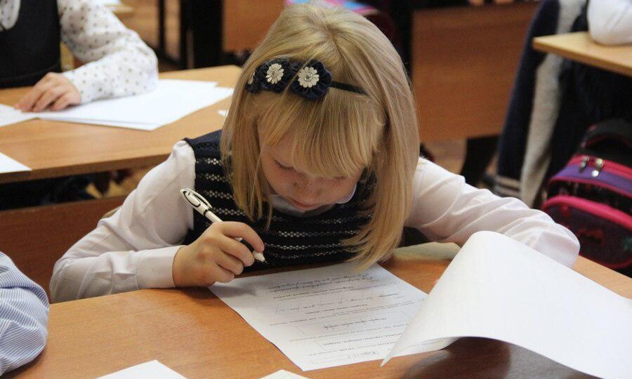 Спишите, это ВПР: почему я терпеть не могу главный школьный цирк страны