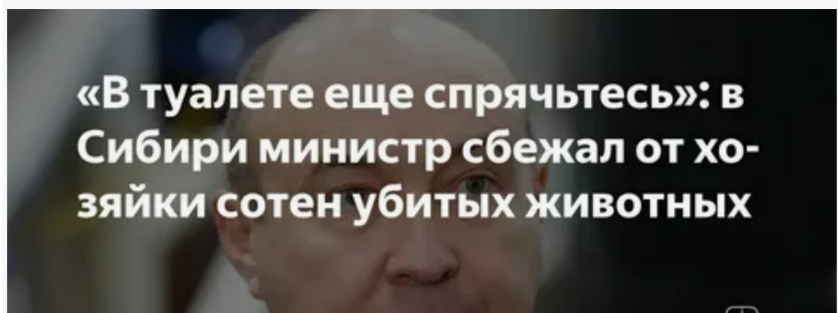 «200 коров за 170 рублей за килограмм»: как в Сибири министр убегал от хозяйки, потерявшей всё, а депутатское стадо уцелело
