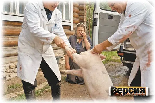 (фото - Deep Vision)