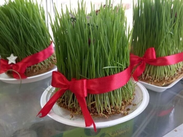    Наурыз 2035: Традиции встречаются с технологиями. Голограммы юрт и виртуальные баурсаки – новая реальность.