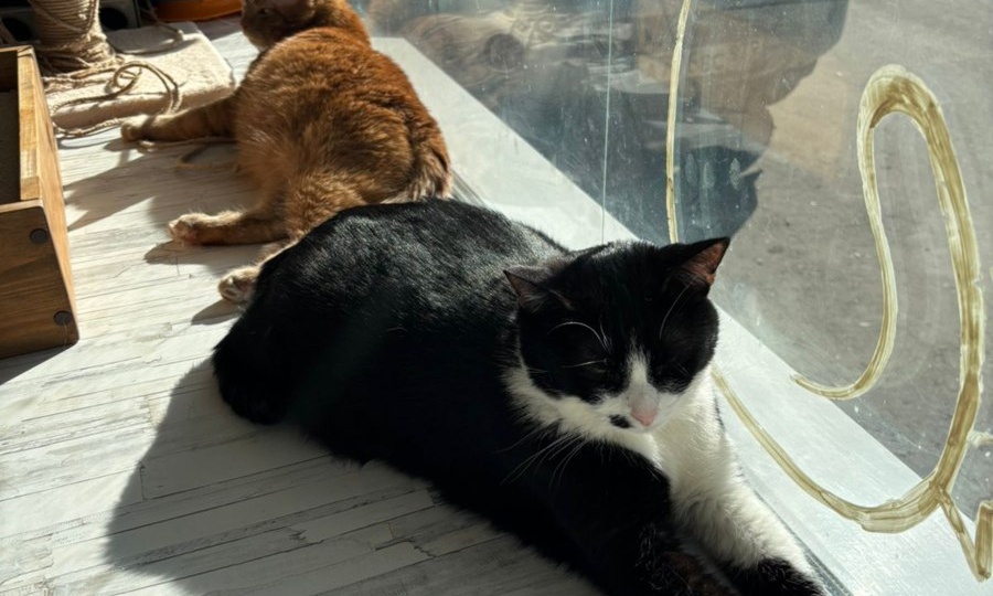 Сооолнышко