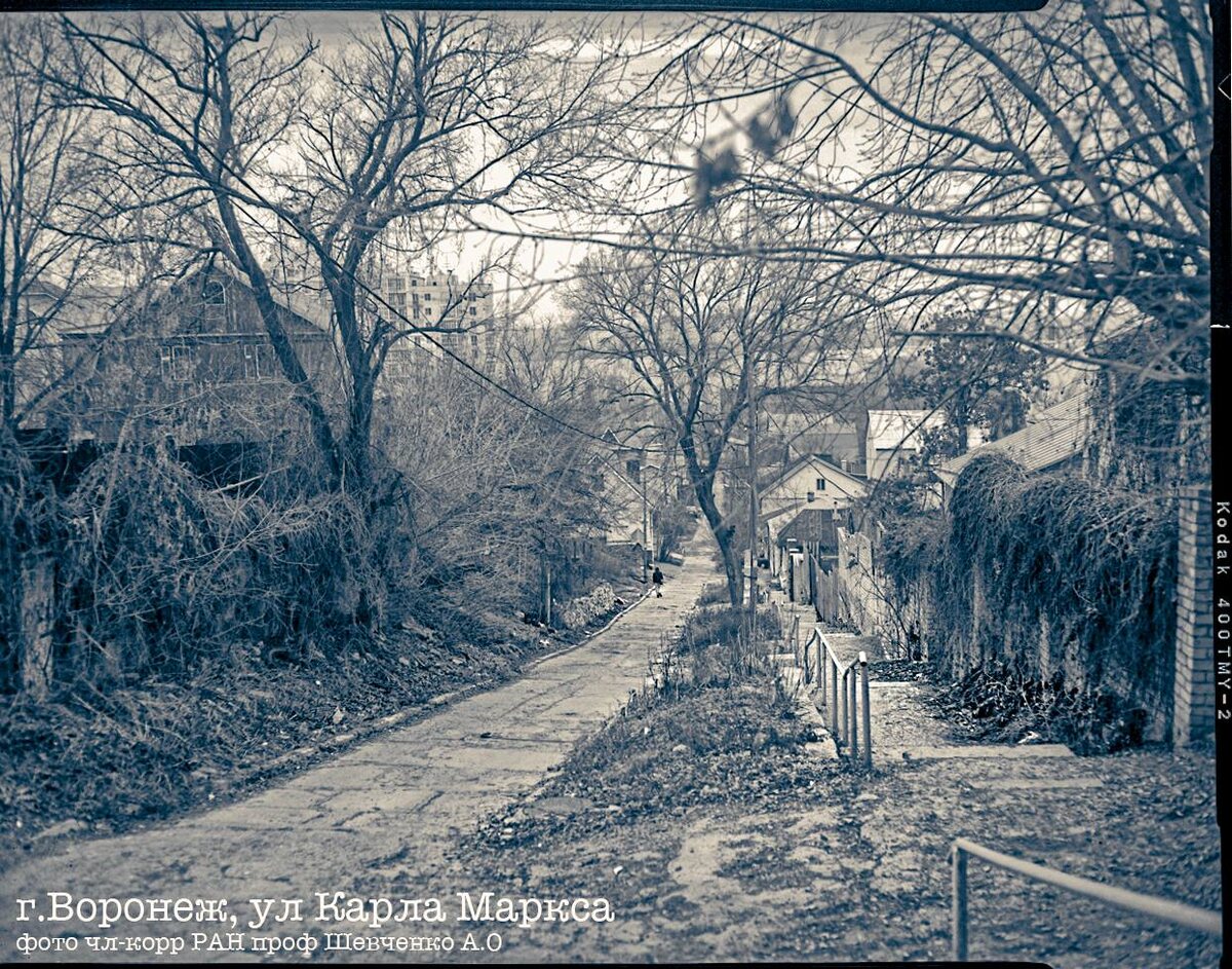 Ранняя весна в г. Воронеже (Шевченко А.О.)