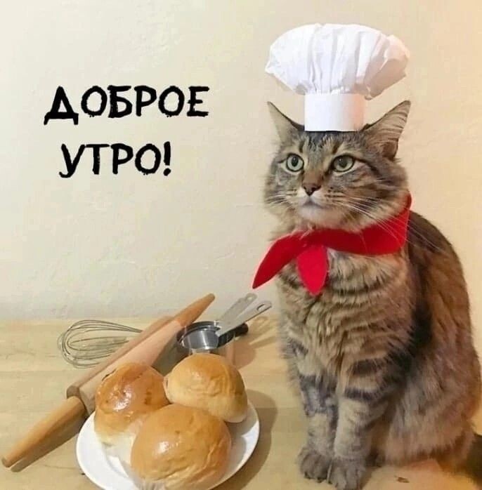 Шеф повар Василий приветствует вас!