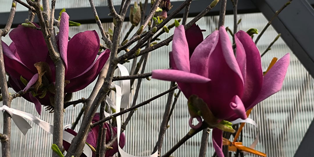 Воскресенье 22.03.2026. День рождения моей любимицы