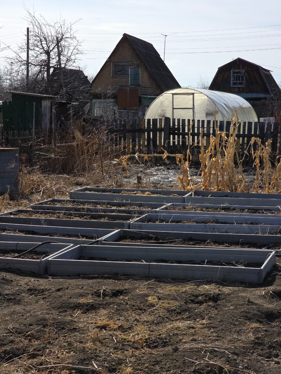 Трава кругом трава