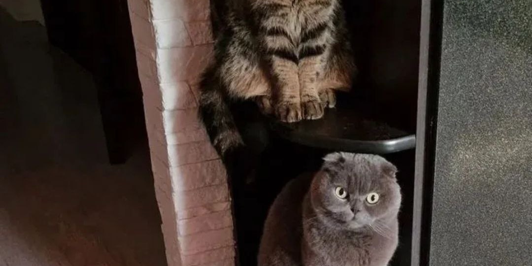 Это не «сложная жизненная ситуация». Это предательство.