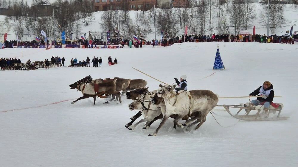    Фото: Владимир Ганчерко / «Север-Пресс»