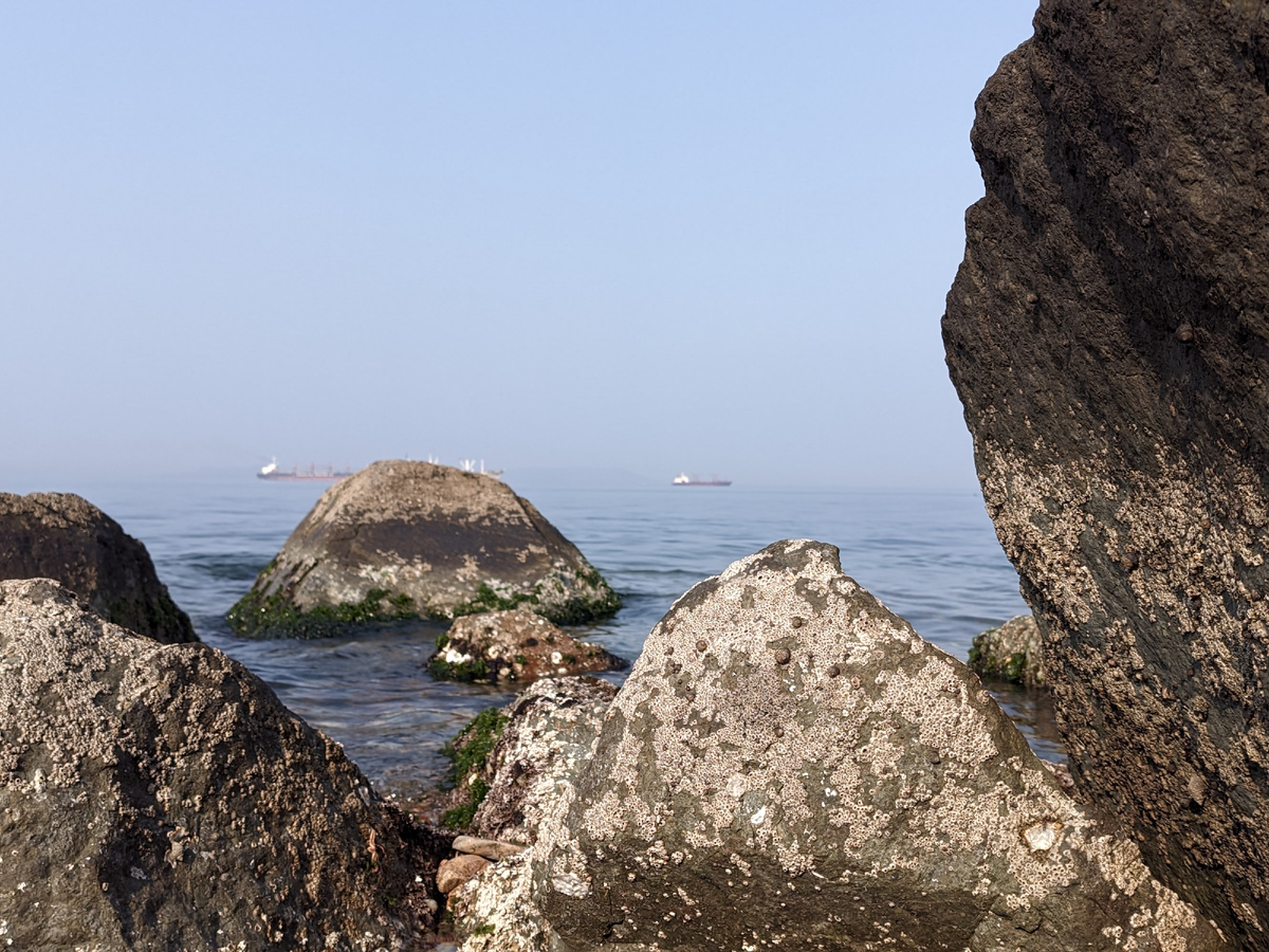 Берег Амурского залива на полуострове Шкота во время отлива. 