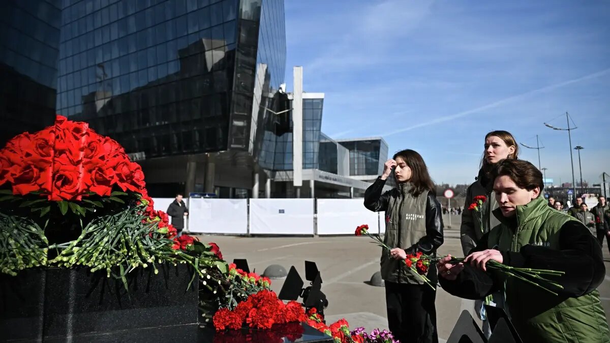    Источник: vm.ru/ Полина Белоусова