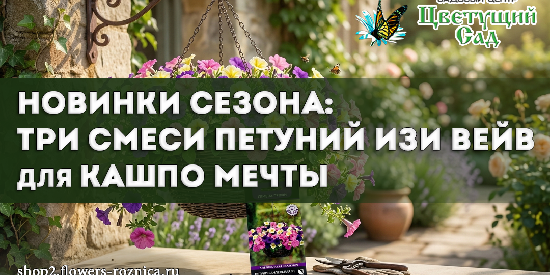 Новинки сезона: три смеси петуний Изи Вейв для кашпо мечты