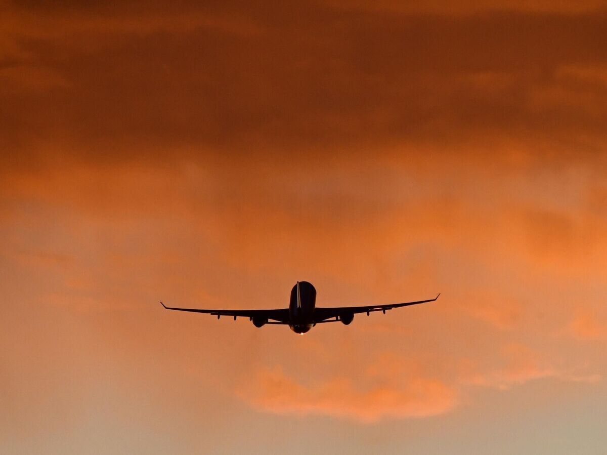    Самолет | © РИА Новости / Илья Наймушин