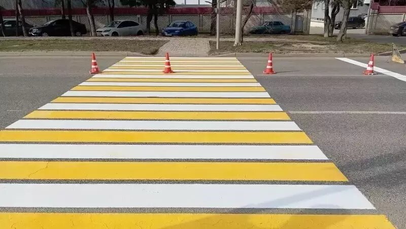      Фото: пресс-служба администрации Ставрополя